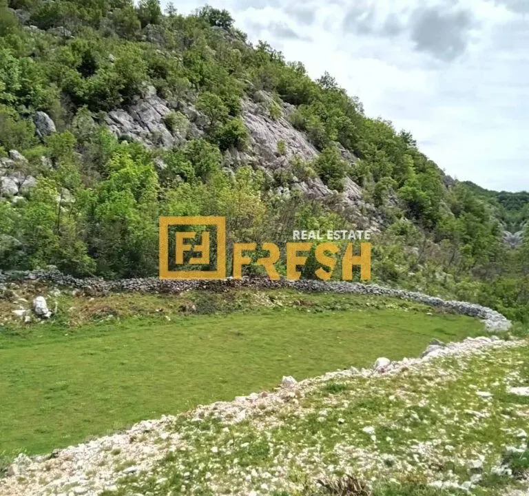 Prodaja, plac, 49212m², Cetinje, Crna Gora