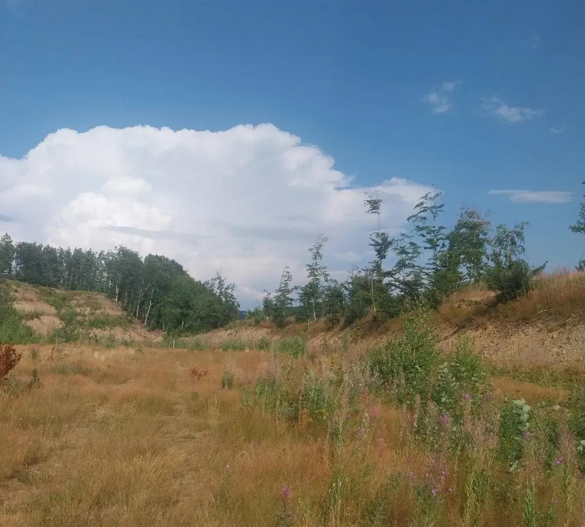 Prodaja, plac, 603m², Kolašin, Crna Gora