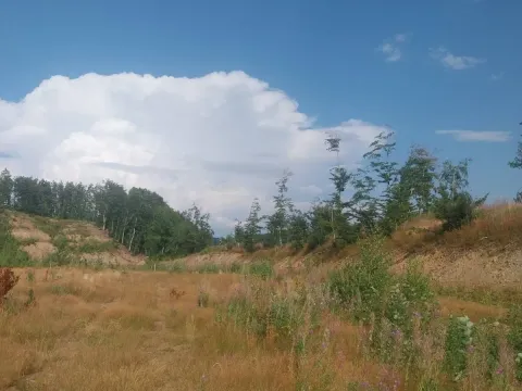 Prodaja, plac, 603m², Kolašin, Crna Gora - image 4