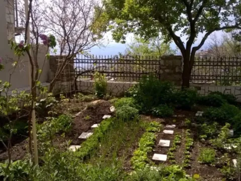 Sale, house, 500m², Budva, Crna Gora - image 7