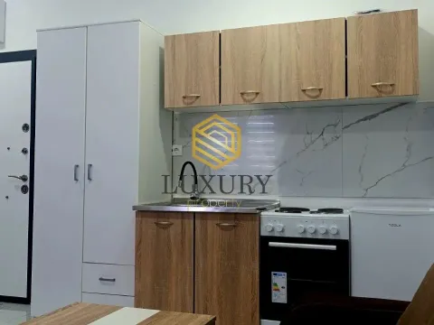 Rent, apartment, 26m², Zabjelo, Podgorica - image 4