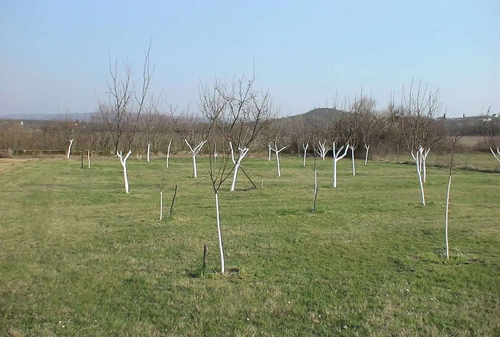 Prodaja, plac, 4000m², Danilovgrad, Crna Gora