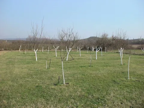 Prodaja, plac, 4000m², Danilovgrad, Crna Gora - image 7