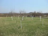 Prodaja, plac, 4000m², Danilovgrad, Crna Gora - image 7