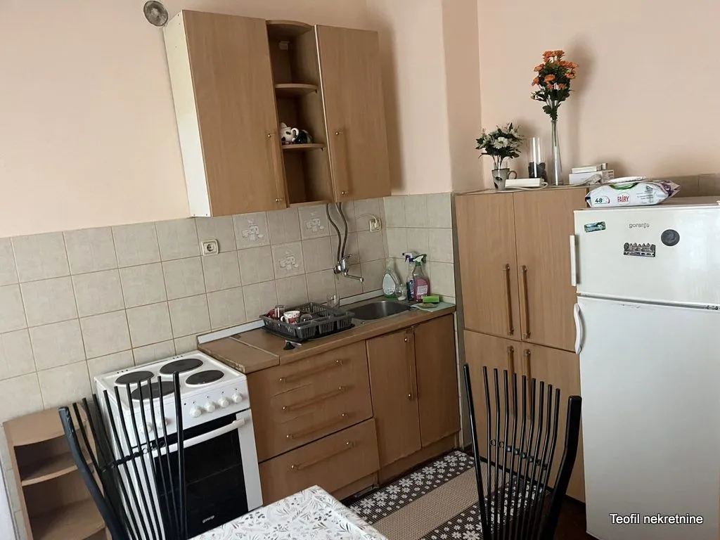 Izdavanje, dvosoban stan, 60m², Palilula, Niš
