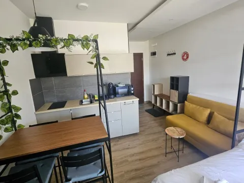 Prodaja, garsonjera, 25m², Kraljevi Čardaci, Kopaonik - image 6