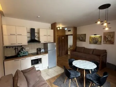 Prodaja, ugostiteljski objekat, 482m², Treska, Kopaonik - image 7