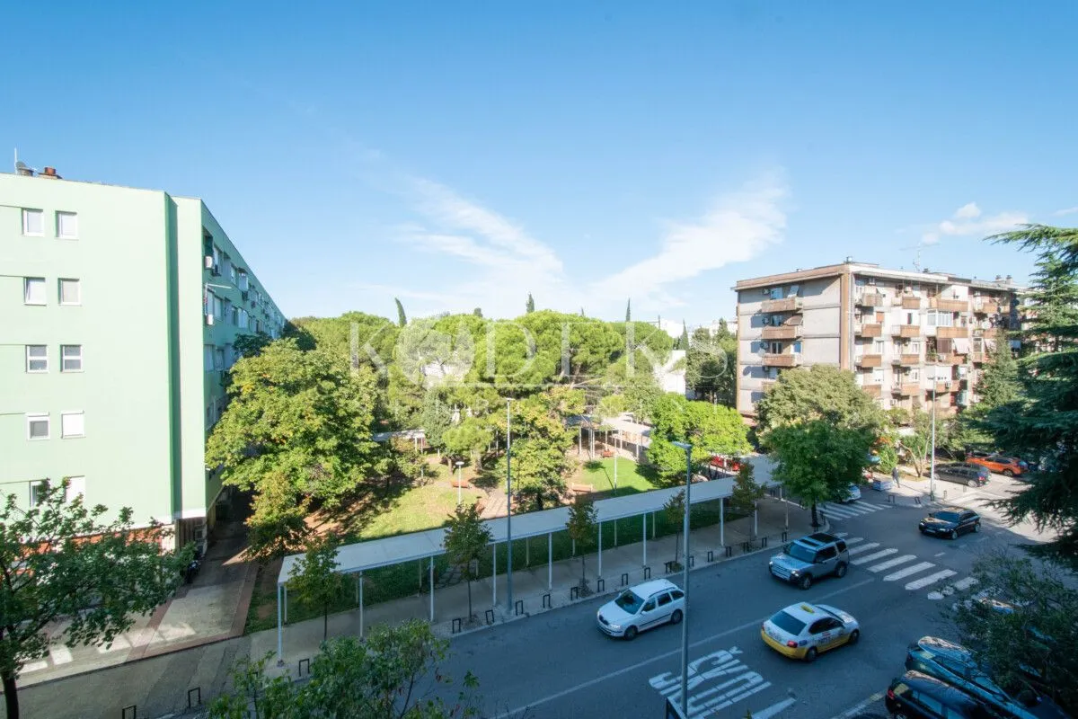 View from the window of surrounding buildings, street, and green park.