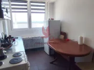 Izdavanje, dvosoban stan, 40m², Mladenovac, Beograd - image 4