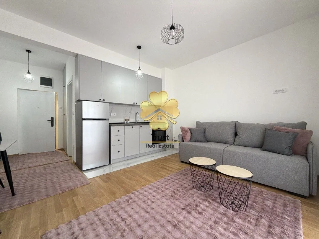 Rent, studio apartment, 35m², Zabjelo, Podgorica
