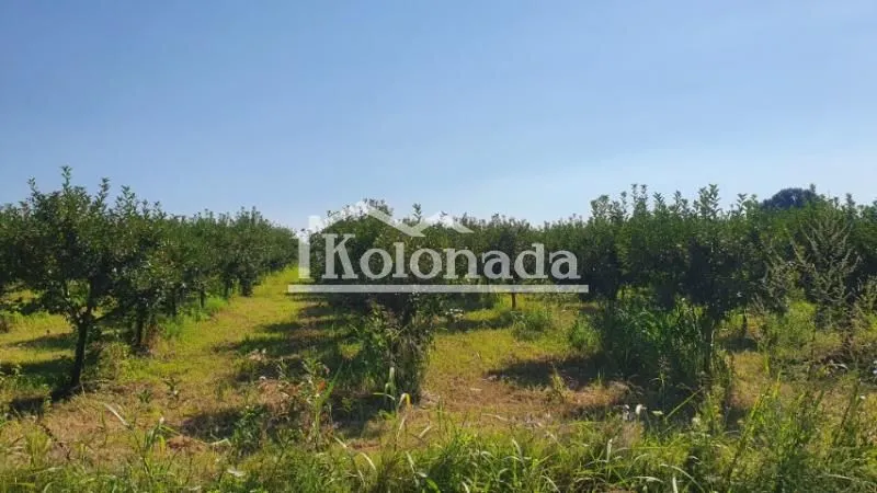 Sale, land lot, 13400m², Djurinci, Sopot
