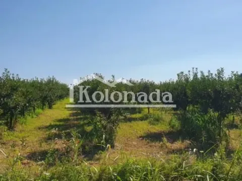 Sale, land lot, 13400m², Djurinci, Sopot - image 6