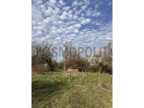 Prodaja, plac, 1800m², Lisović, Barajevo - image 3