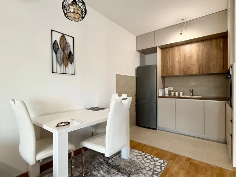 Prodaja, jednosoban stan, 44m², Pobrežje, Podgorica - image 4