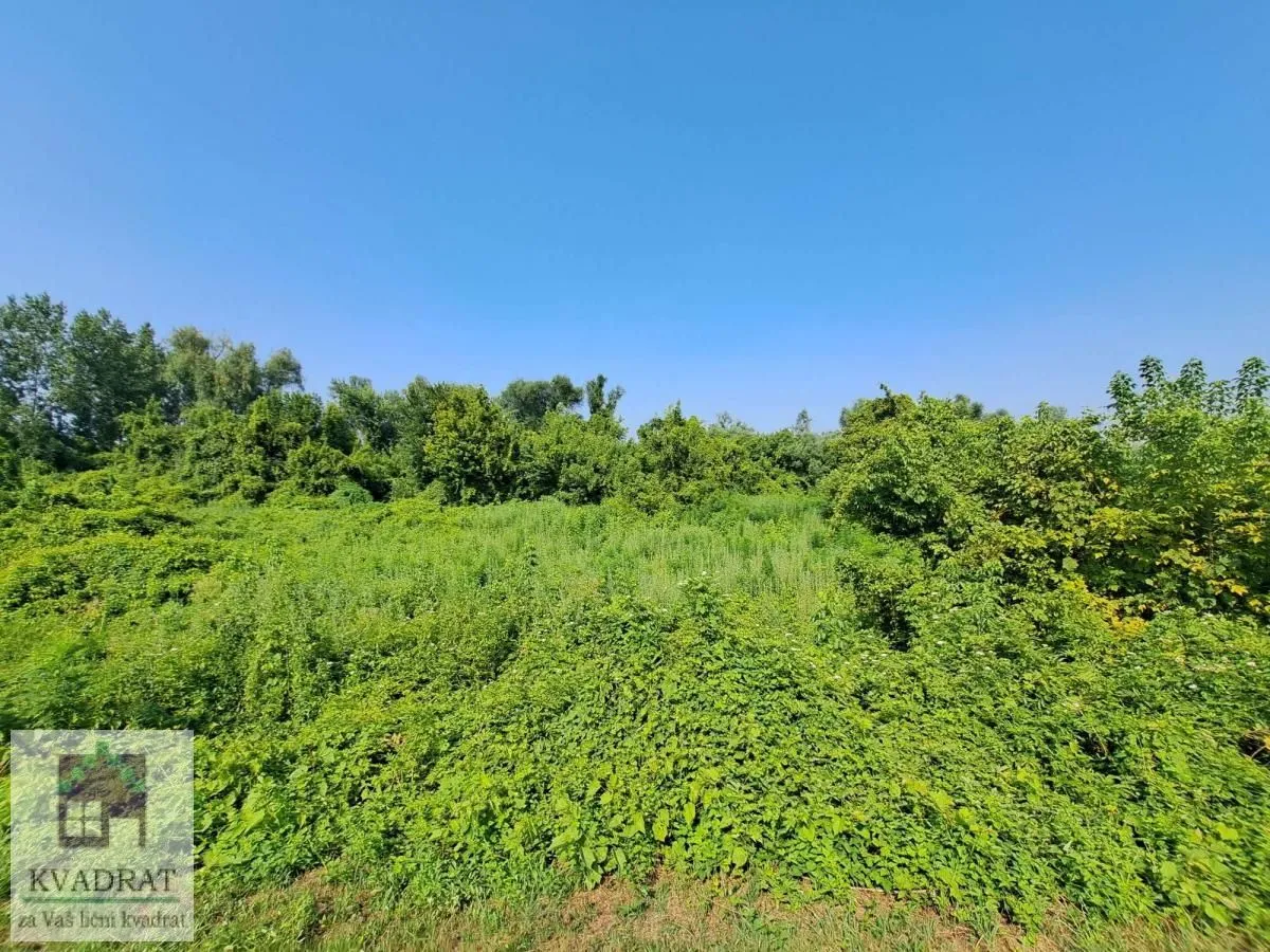 Prodaja, plac, 6100m², Zabrežje, Obrenovac
