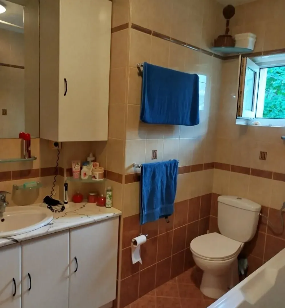 Rent, house, 250m², Olimp, Zvezdara Sve Podlokacije