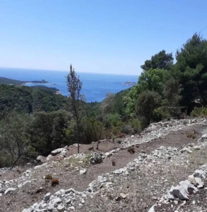 Prodaja, plac, 4554m², Tivat, Crna Gora