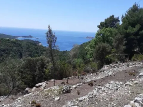 Prodaja, plac, 4554m², Tivat, Crna Gora - image 1