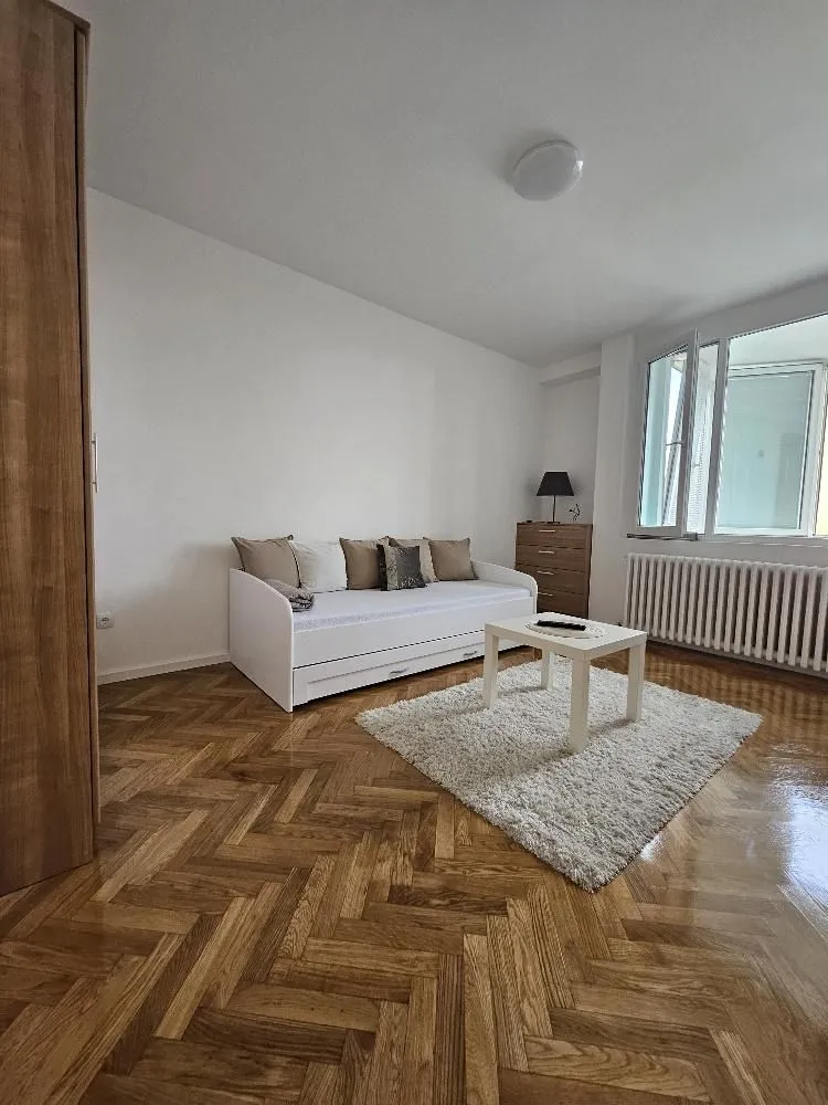 Rent, one bedroom apartment, 31m², Lion, Zvezdara Sve Podlokacije