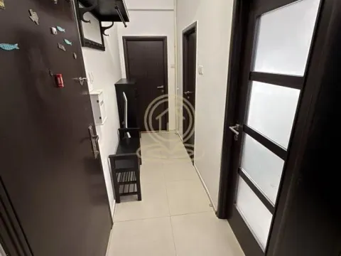 Izdavanje, dvosoban stan, 49m², Liman 2, Novi Sad Sve Podlokacije - image 5