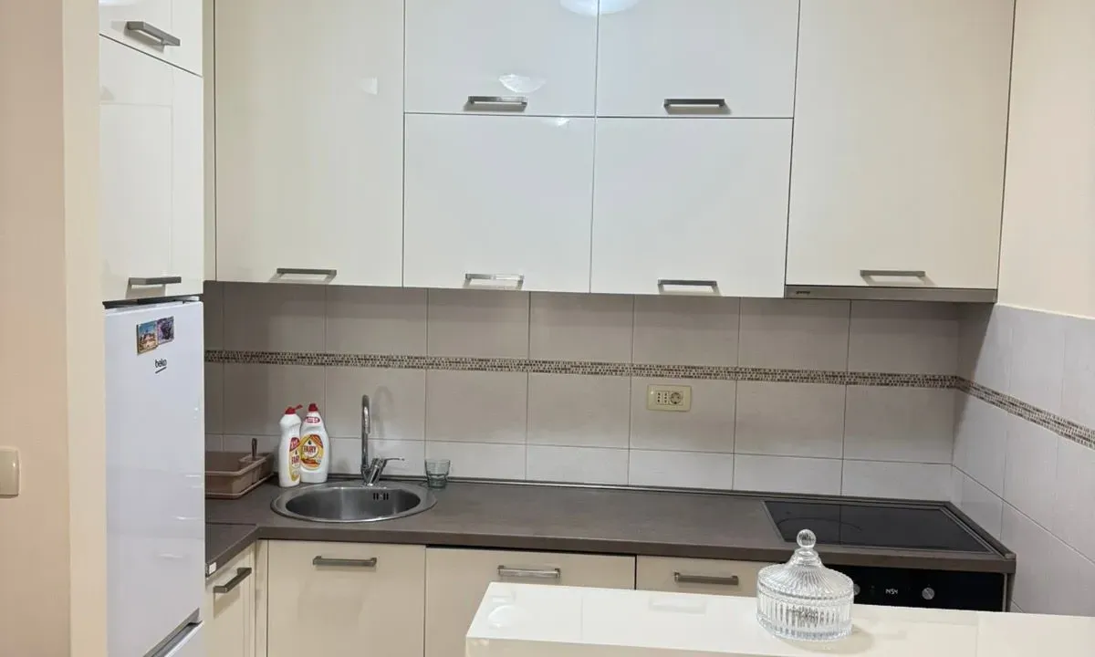 Izdavanje, jednosoban stan, 44m², Stari Aerodrom, Podgorica