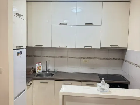 Rent, one bedroom apartment, 44m², Stari Aerodrom, Podgorica - image 1