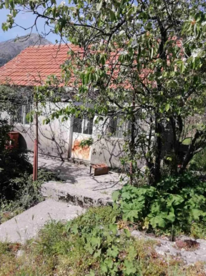 Eksterijer starije kuće sa dvorištem i zelenilom.