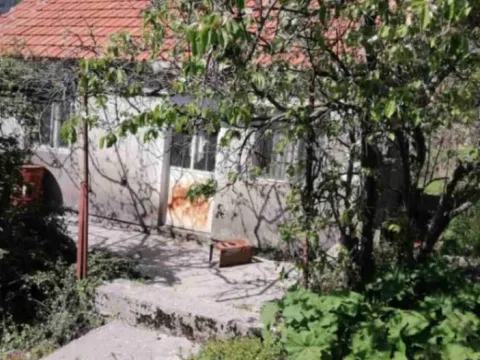 Eksterijer starije kuće sa dvorištem i zelenilom. - image 3