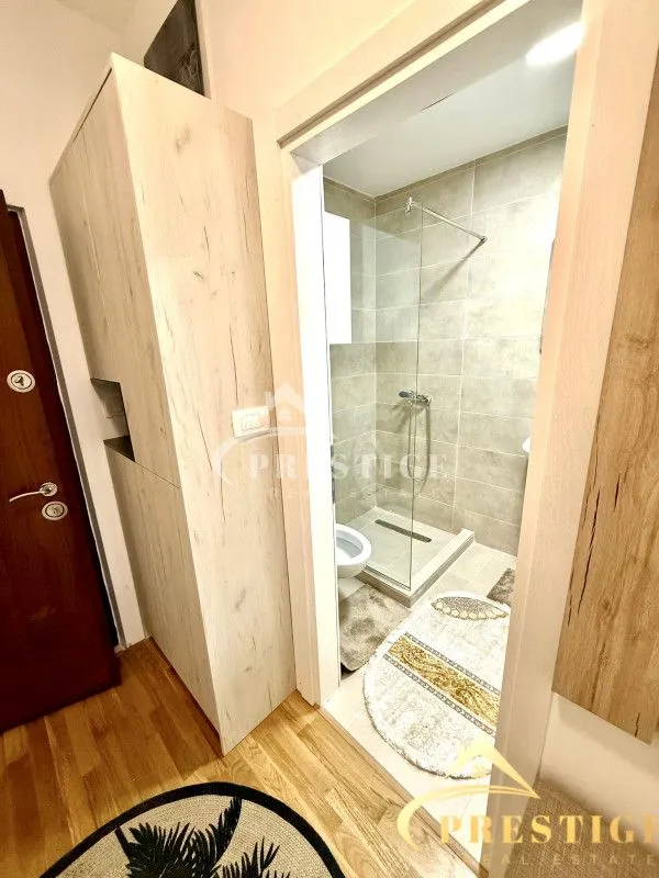 Izdavanje, jednosoban stan, 46m², Zagorič, Podgorica