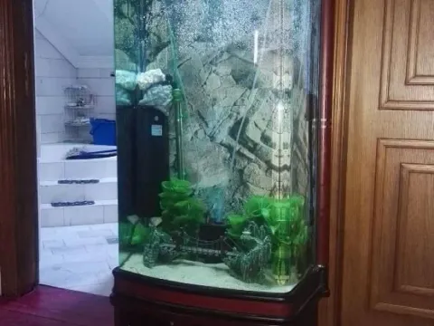 Prodaja, četvorosoban stan, 142m², Zemun Centar, Zemun Sve Podlokacije - image 11