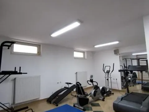 Izdavanje, poslovni prostor, 750m², Telep, Novi Sad Sve Podlokacije - image 22