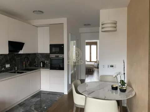 Izdavanje, dvosoban stan, 42m², Južni Bulevar, Vračar Sve Podlokacije - image 5