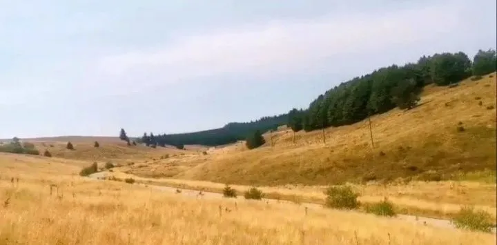 Prodaja, plac, 500m², Kraljevi Čardaci, Kopaonik