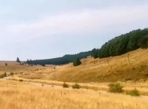 Sale, land lot, 500m², Kraljevi Čardaci, Kopaonik - image 2