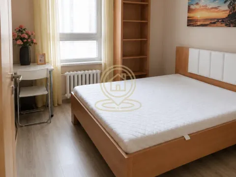 Izdavanje, dvosoban stan, 59m², Crveni Krst, Beograd - image 7