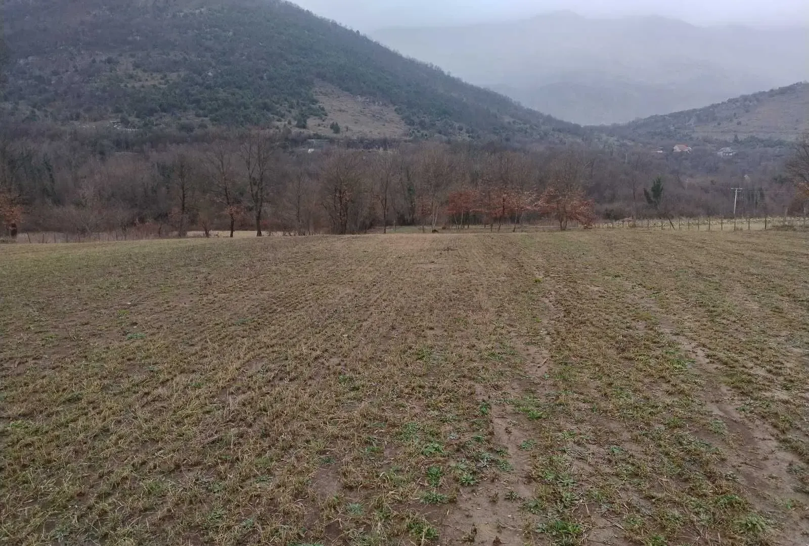 Prodaja, plac, 7290m², Orja Luka, Danilovgrad