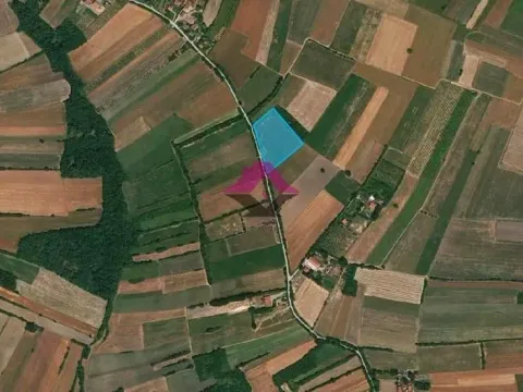 Prodaja, plac, 10400m², Koraćica, Mladenovac - image 5