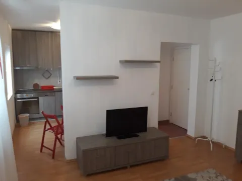 Izdavanje, jednosoban stan, 32m², Bulevar patrijarha Pavla, Novi Sad Sve Podlokacije - image 4