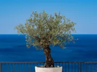 Prodaja, kuća, 374m², Drobni pijesak, Budva - image 36