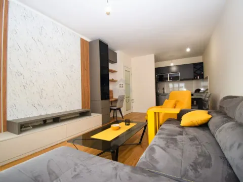 Rent, one bedroom apartment, 49m², Central Point, Podgorica - image 3
