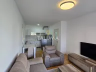 Izdavanje, jednosoban stan, 47m², Stari Aerodrom, Podgorica - image 2