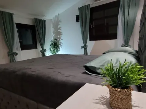 Rent, four bedroom apartment, 94m², Vračar Hram, Vračar Sve Podlokacije - image 6