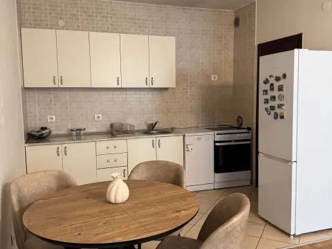 Rent, one bedroom apartment, 54m², Zagorič, Podgorica - image 4
