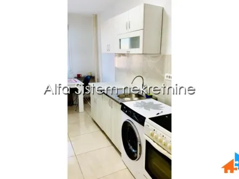 Izdavanje, dvosoban stan, 58m², Botanička Bašta, Palilula Sve Podlokacije - image 5