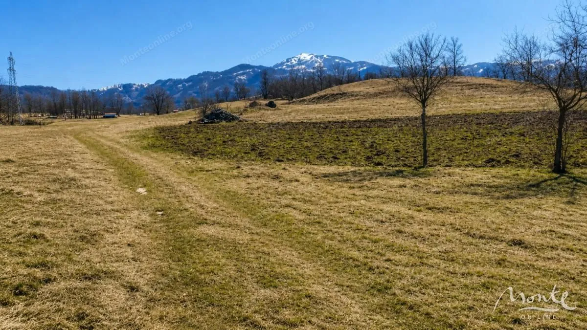Prodaja, plac, 8000m², Kolašin, Crna Gora
