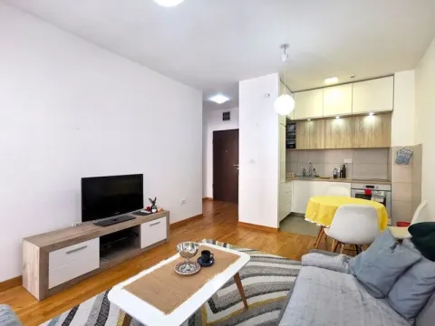 Rent, apartment, 43m², Zagorič, Podgorica - image 2
