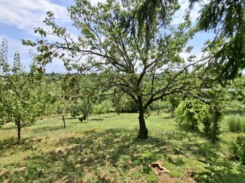 Prodaja, plac, 3000m², Bocke, Petrovaradin - image 11