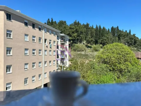 Izdavanje, jednosoban stan, 40m², Ljubović, Podgorica - image 10