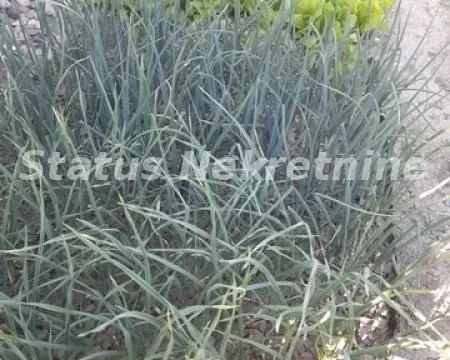 Prodaja, kuća, 194m², Šid, Srbija - image 48