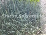 Prodaja, kuća, 194m², Šid, Srbija - image 48